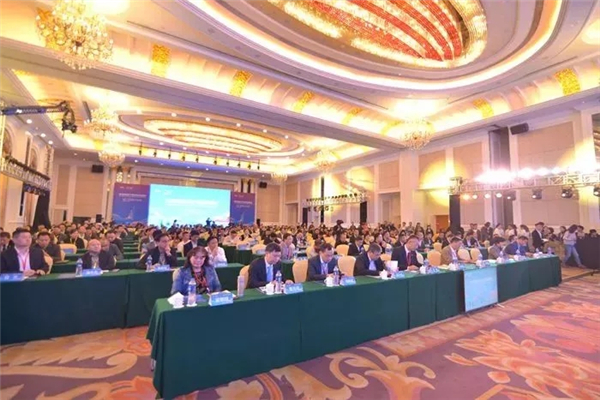 1544496378669935.jpg 1.jpg